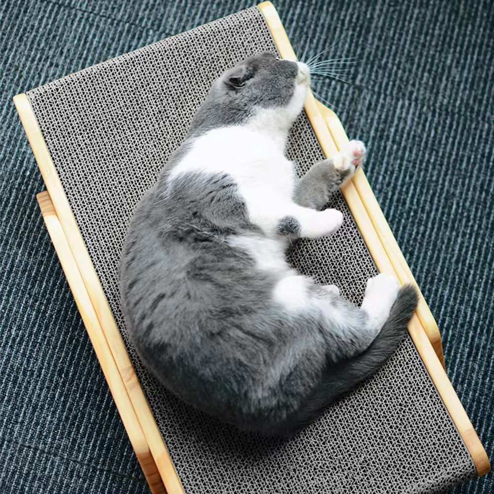 3 in 1 Scratching Post for Cats Training